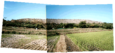 写真1
